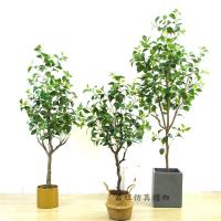 uploads/erp/collection/images/Home Garden/dgjiawang/XU0612934/img_b/XU0612934_img_b_3